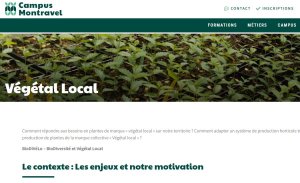 Campus Montravel et ses engagements
Lien vers: https://www.campus-montravel.fr/vegetallocal/?utm_source=brevo&utm_campaign=Lettre%20dinformation%20Vgtal%20local%20Juillet-Aout%202025&utm_medium=email