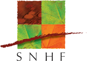 image PagePrincipale_LOGOsnhf.png (57.7kB)
Lien vers: https://www.snhf.org/les-webinaires/