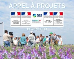 image Appels_a_projets_RI1_2.jpg (0.5MB)
Lien vers: https://ecophytopic.fr/pour-aller-plus-loin/appel-projets-national-ecophyto-2020-2021-volets-1-et-2