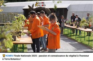 
Lien vers: https://www.youtube.com/watch?v=RoSNRX2-N3Q