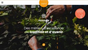 Lien vers: https://campusversailles.fr/reseau-gouvernance/horticulture-et-paysage/