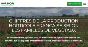 image CaptureVALHORchiffesProd.jpg (0.1MB)
Lien vers: https://www.valhor.fr/chiffres-et-prospective/le-marche-du-vegetal/chiffres-de-la-production-horticole-selon-le-type-de-plantes?utm_source=nl&utm_medium=email&utm_campaign=vev-171024