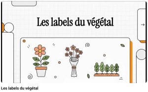 
Lien vers: https://youtu.be/sHkPYhcW5YY?si=61e5H5v9299VcoRT