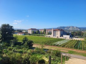 
Lien vers: https://adt.educagri.fr/exploitations-et-ateliers/rn-ea/at-2025