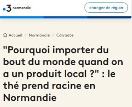 
Lien vers: https://france3-regions.franceinfo.fr/normandie/calvados/pourquoi-importer-du-bout-du-monde-quand-on-a-un-produit-local-le-the-prend-racine-en-normandie-3412958.html