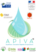 image presentationapiva.png (0.1MB)