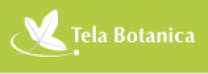 image CaptureTELABOTANICA.png (2.0kB)
Lien vers: https://www.tela-botanica.org/identifier-une-plante/