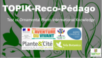 image TOPIKRecoVgtx_CaptureTOPIKvisuelWeb.png (43.8kB)
Lien vers: https://reseau-horti-paysages.educagri.fr/wakka.php?wiki=TOPIKRecoVgtx