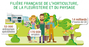 image CaptureFilireVALHOR.png (0.2MB)
Lien vers: https://www.valhor.fr/etudes-statistiques/la-filiere-en-chiffres/