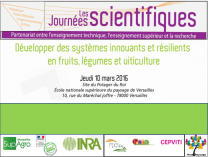 image SUPTech_CaptureJS.png (40.4kB)
Lien vers: http://reseau-horti-paysages.educagri.fr/wakka.php?wiki=SUPTech