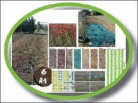 image Expes_Paillage_EPLEFPA_Romans.jpg (37.0kB)