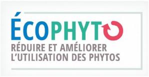 image CapturerECOPHYTOvisuel2018.jpg (26.1kB)
Lien vers: https://agriculture.gouv.fr/developpement-agricole-et-rural-appels-projets