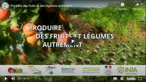 image CaptureGuideEcophyto.png (1.5MB)
Lien vers: https://ecophytopic.fr/pic/concevoir-son-systeme/produire-des-fruits-et-legumes-autrement