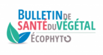 image CaptureEcophytoBSV.png (27.1kB)
Lien vers: https://ecophytopic.fr/
