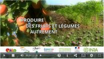 image CaptureFilmSDCultinnovants2018.png (0.5MB)
Lien vers: https://www.gis-fruits.org/Page-d-accueil/Actualites/Le-film-Produire-des-fruits-et-legumes-autrement-vient-de-sortir