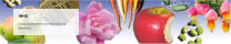 image CaptureIRHS.png (0.8MB)
Lien vers: https://www6.angers-nantes.inra.fr/irhs/