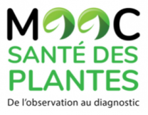 image CaptureMOOCsantePlanteSept2017.png (48.4kB)
Lien vers: https://www.fun-mooc.fr/courses/course-v1:agrocampusouest+40002+session01/about