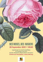 image CaptureSNHFROSES.png (0.5MB)
Lien vers: https://www.snhf.org/webinaire-des-roses-des-rosiers/