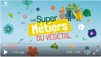 image CaptureSuperMetiersDuVegetal.png (0.2MB)
Lien vers: https://reseau-horti-paysages.educagri.fr/wakka.php?wiki=Metiers