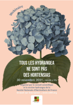 image Capture_SNHF2.png (0.4MB)
Lien vers: https://www.snhf.org/webinaire-tous-les-hydrangea-ne-sont-pas-des-hortensias-cs-et-section-hydrangea-2021/