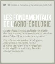 image CapturerAgroecologieBASES.jpg (27.7kB)
Lien vers: http://agriculture.gouv.fr/infographie-les-fondamentaux-de-lagro-ecologie