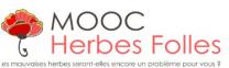 image CapturerMOOCherbes_Folles.jpg (17.1kB)
Lien vers: https://mooc.tela-botanica.org/course/view.php?id=5