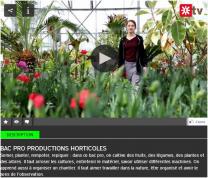 image CapturerVideoBacProHorti2018.jpg (0.1MB)
Lien vers: https://oniseptv.onisep.fr/video/bac-pro-productions-horticoles