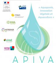 image logoapiva.jpg (79.6kB)
Lien vers: https://reseau-horti-paysages.educagri.fr/wakka.php?wiki=CASDAR