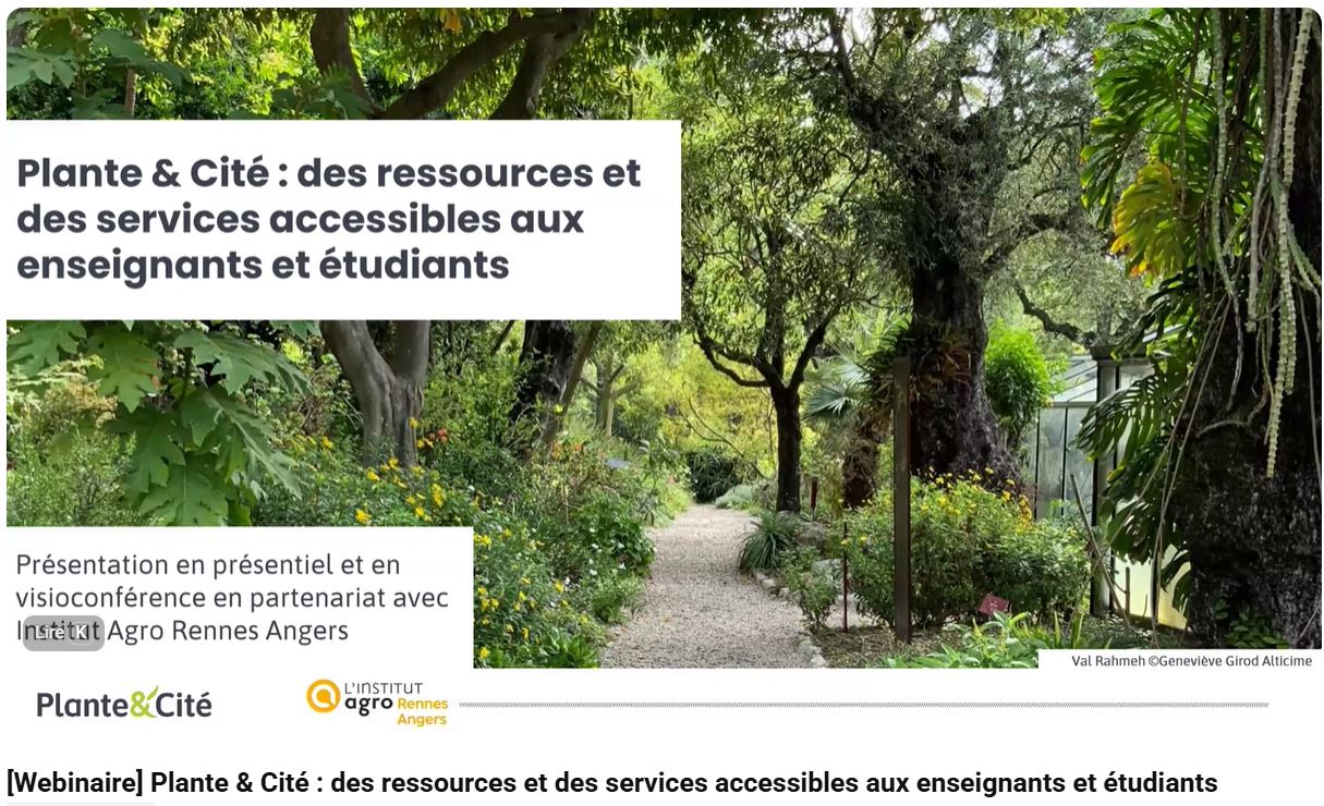 
Lien vers: https://www.youtube.com/watch?v=F1S8EIRBHJI