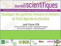 image CaptureJShortipaysages4fevMontpellier.png (0.3MB)
