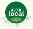 image CaptureLogoVL.png (20.8kB)
Lien vers: https://www.vegetal-local.fr/